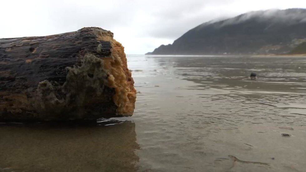 Emergency 'go bags' in case of tsunami now in every room of Manzanita Inn