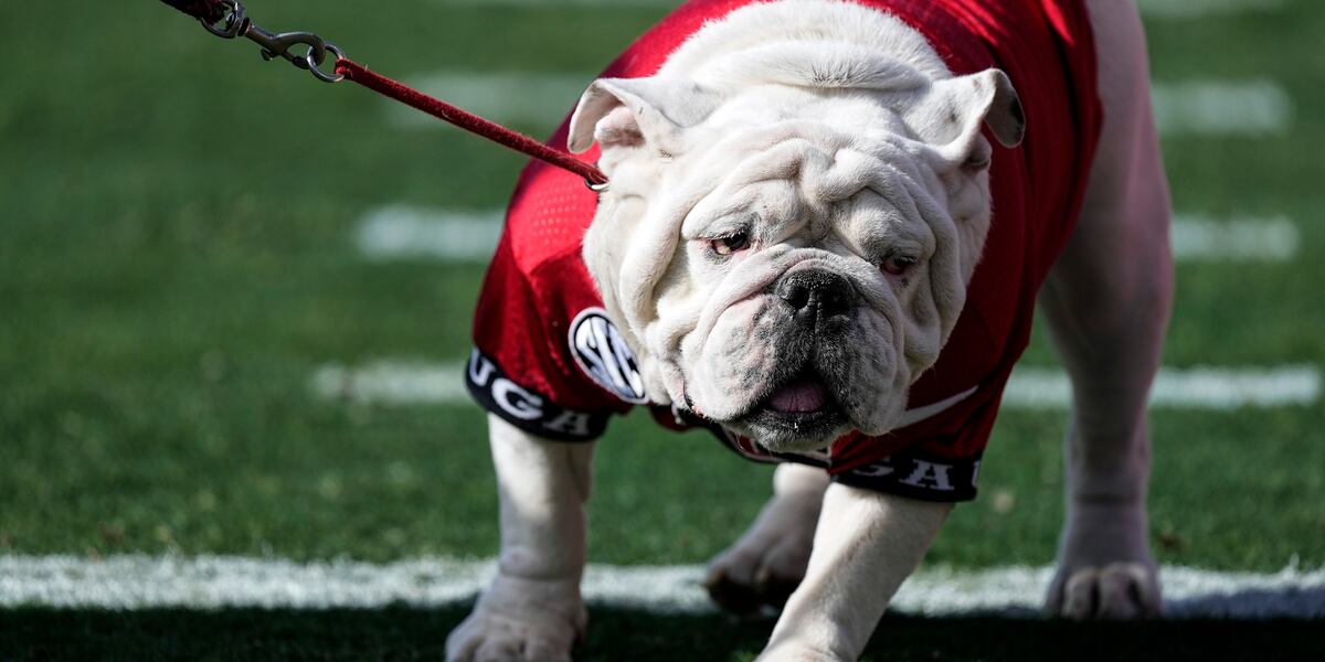 Retired University of Georgia mascot, ‘most decorated’ in school