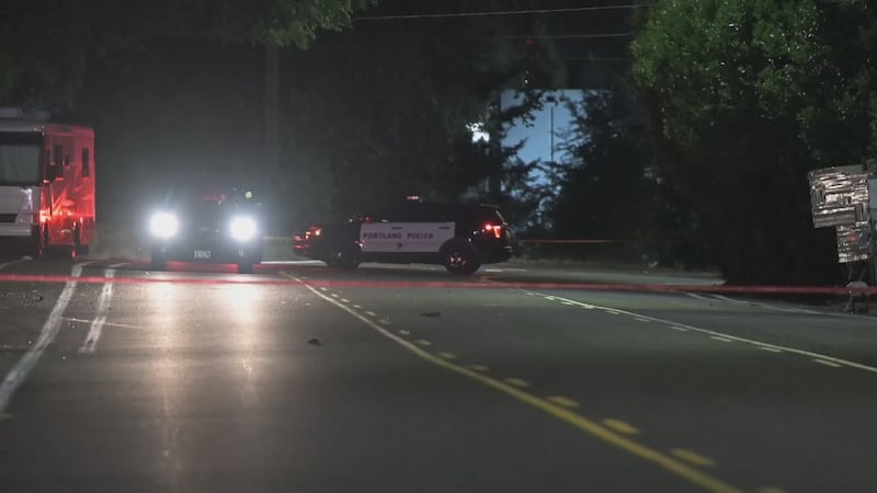 Police on scene of hit-and-run crash on NE 33rd Drive