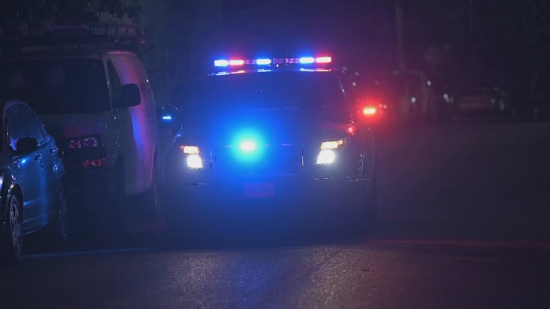 Portland Police Bureau File Generic nighttime