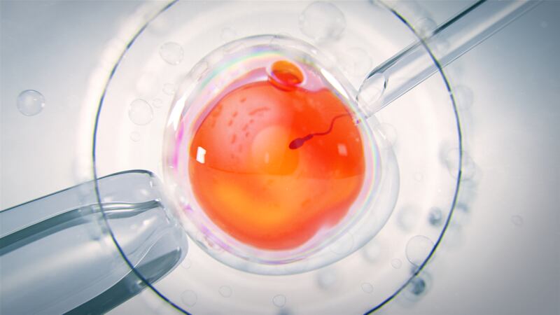 An Idaho woman sues her fertility doctor, says he used his own sperm to impregnate her 34...