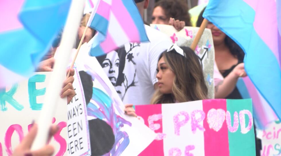 Hundreds gathered at the State Capitol to mark International Transgender Day of Visibility.