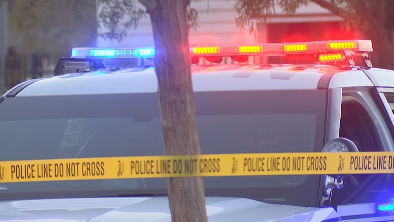 Police lights generic file photo