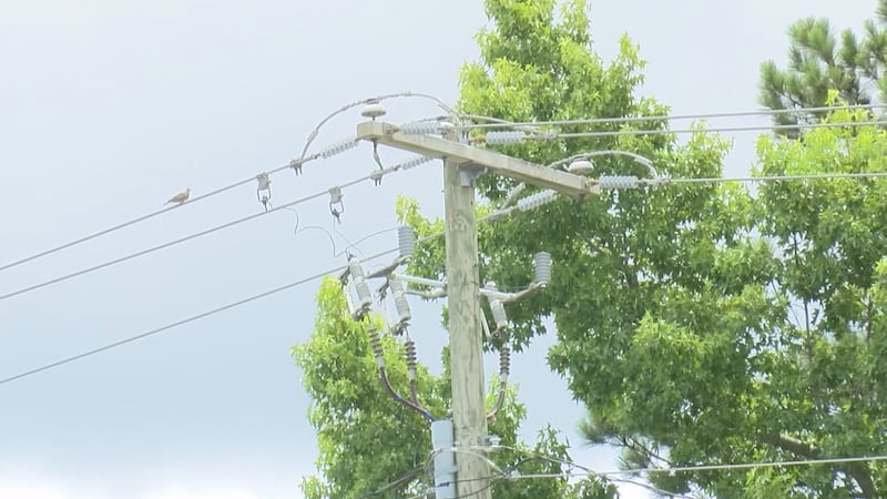 Generic power line