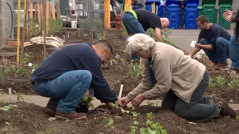 Gardening program giving local inmates a new perspective on life