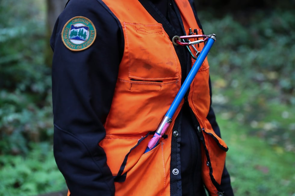 An increment borer attaches to a vest worn by Christine Buhl, a forest health specialist for...