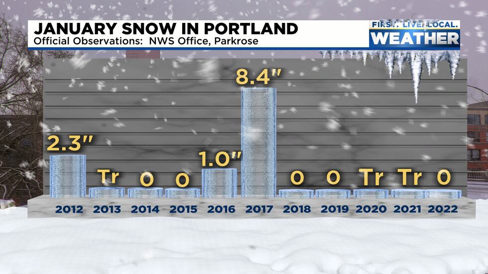 January Snowfall in Portland