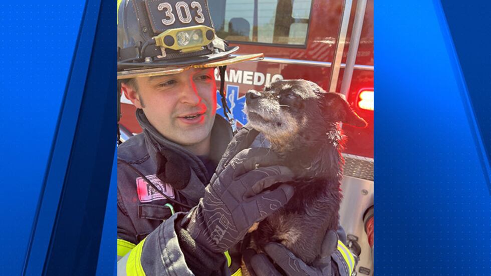 A dog was rescued from a fire in a Milwaukie apartment on Saturday.