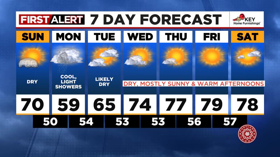 7 day