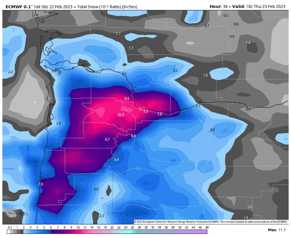 Wx Blog