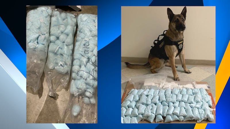 More than 150,000 fentanyl pills and three kilograms of powder fentanyl have been seized by...