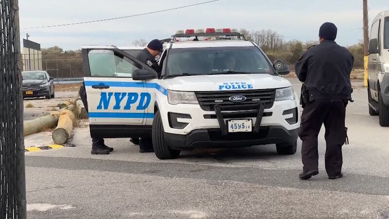 A human torso was found on a beach in New York.