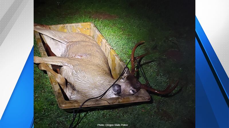 Poacher wanted after 3-point buck shot illegally in Clackamas County