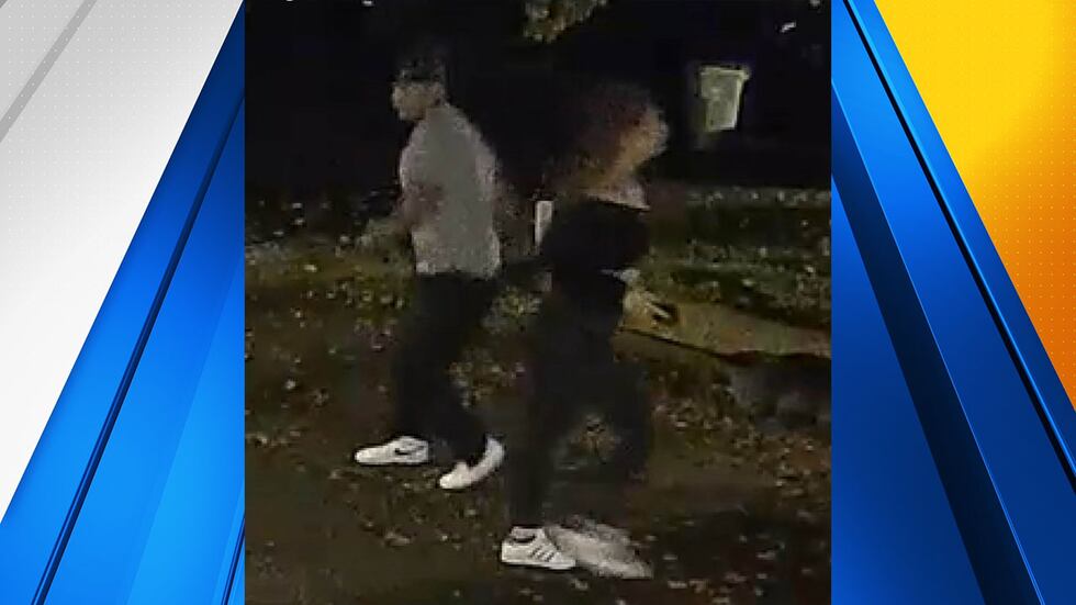 Suspects sought by Wilsonville police